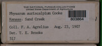 Image Associated With the Occurence